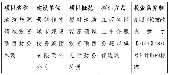 清潔能源領(lǐng)域投資項(xiàng)目財務(wù)盡調(diào)計(jì)劃公告
