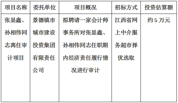 張顯鑫、孫相偉同志離任審計(jì)項(xiàng)目計(jì)劃公告