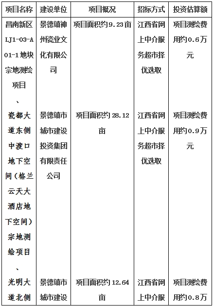 景德鎮(zhèn)市昌南新區(qū)LJ1-03-A01-1地塊、瓷都大道東側(cè)中渡口地下空間（格蘭云天大酒店地下空間）、光明大道北側(cè)利民路西側(cè)地下空間（青少年宮地下空間）、規(guī)劃二路北側(cè)地下空間地塊二（加速基地地下空間）、規(guī)劃二路北側(cè)地下空間地塊一（加速基地地下空間）、景德大道南側(cè)天寶橋西側(cè)地塊、景興大道東側(cè)如意路北側(cè)地下空間(社會公共服務(wù)