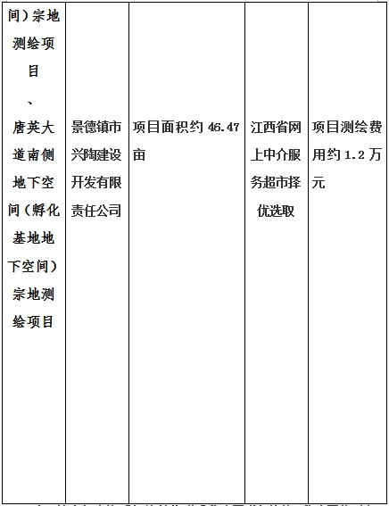 景德鎮(zhèn)市昌南新區(qū)LJ1-03-A01-1地塊、瓷都大道東側(cè)中渡口地下空間（格蘭云天大酒店地下空間）、光明大道北側(cè)利民路西側(cè)地下空間（青少年宮地下空間）、規(guī)劃二路北側(cè)地下空間地塊二（加速基地地下空間）、規(guī)劃二路北側(cè)地下空間地塊一（加速基地地下空間）、景德大道南側(cè)天寶橋西側(cè)地塊、景興大道東側(cè)如意路北側(cè)地下空間(社會公共服務(wù)