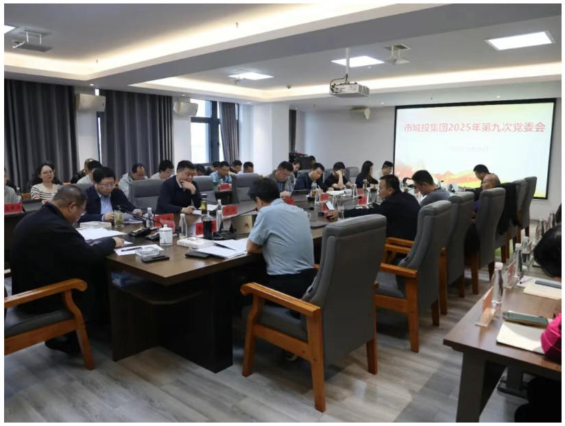 市城投集團(tuán)召開黨委會傳達(dá)學(xué)習(xí)貫徹黨的二十屆四中全會精神