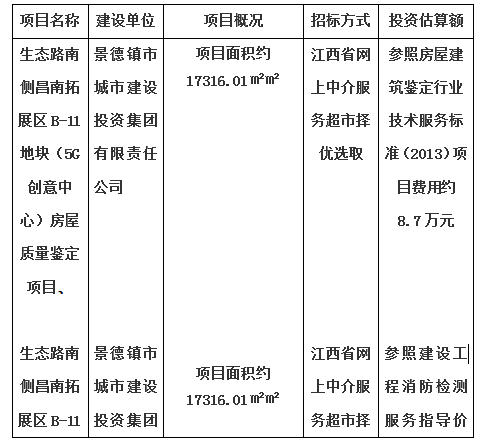 生態(tài)路南側(cè)昌南拓展區(qū)B-11地塊（5G創(chuàng)意中心）房屋質(zhì)量鑒定項目、生態(tài)路南側(cè)昌南拓展區(qū)B-11地塊（5G創(chuàng)意中心）消防安全評估項目計劃公告