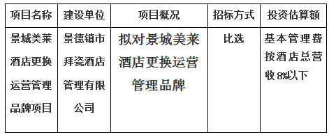 景城美萊酒店更換運(yùn)營管理品牌項(xiàng)目計(jì)劃公告